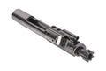 Cryptic Coatings 5.56 NATO M16 Bolt Carrier Group